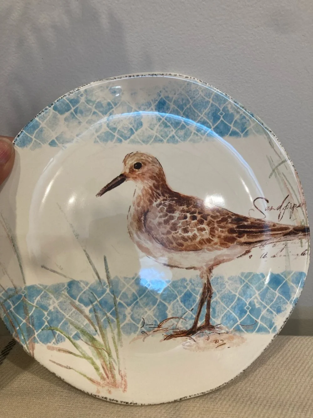 Pier 1 Sandpiper Dinner Plate in Blue and Brown